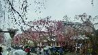 area1-20250420095016.jpg