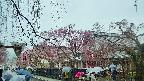 area1-20250420100015.jpg