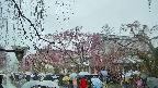 area1-20250420101014.jpg