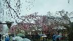 area1-20250420103015.jpg