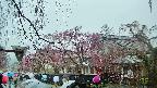 area1-20250420104016.jpg