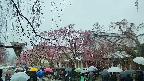 area1-20250420105015.jpg