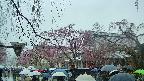 area1-20250420111014.jpg