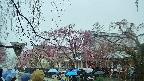 area1-20250420112016.jpg