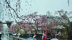 area1-20250420113014.jpg