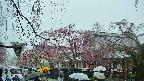 area1-20250420114016.jpg