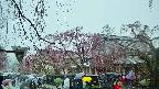 area1-20250420120016.jpg
