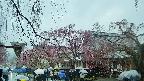 area1-20250420121017.jpg