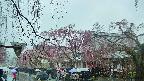 area1-20250420122016.jpg