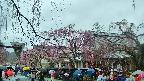 area1-20250420130016.jpg