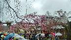 area1-20250420142014.jpg