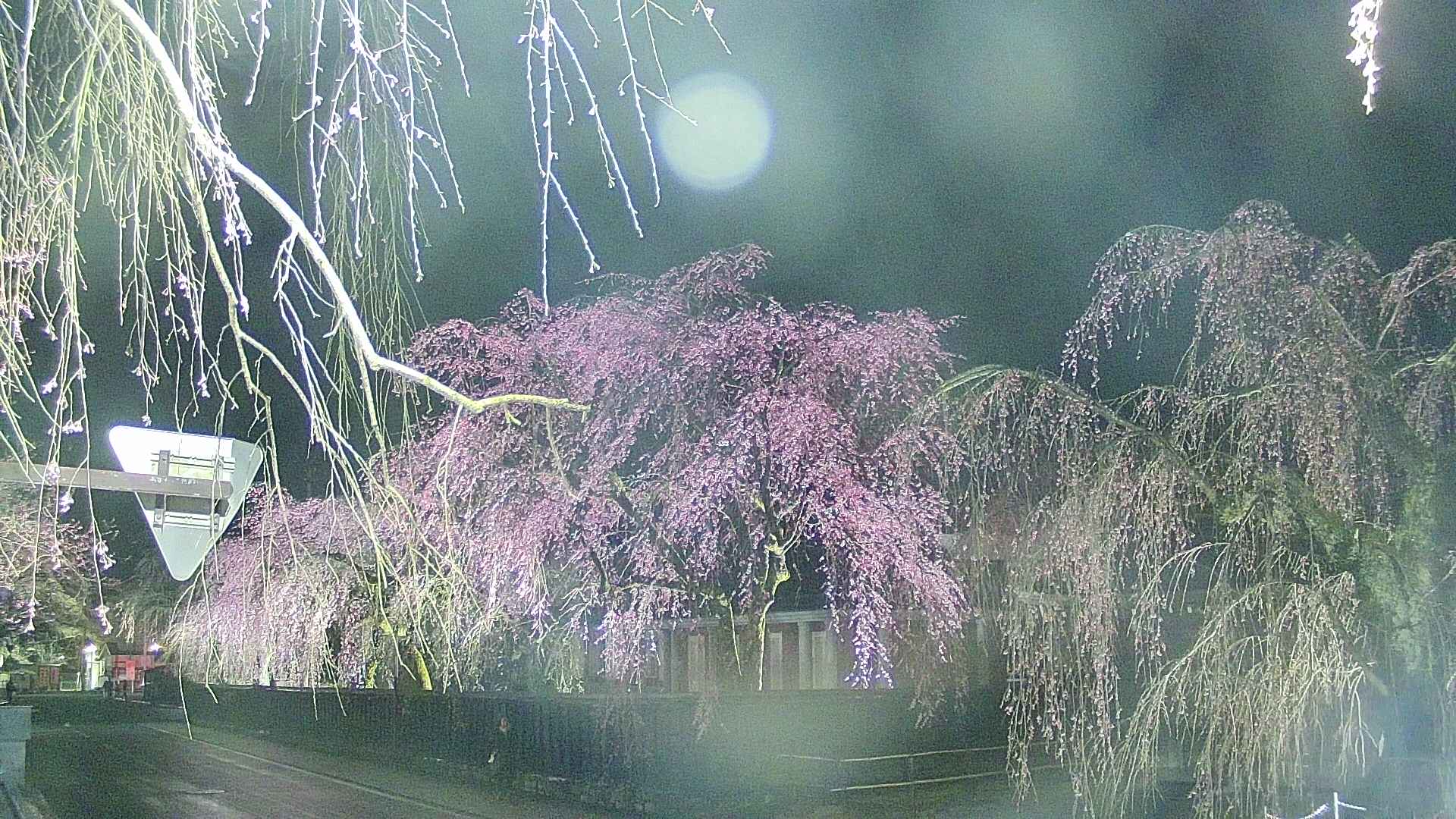 area1-20250420193020.jpg