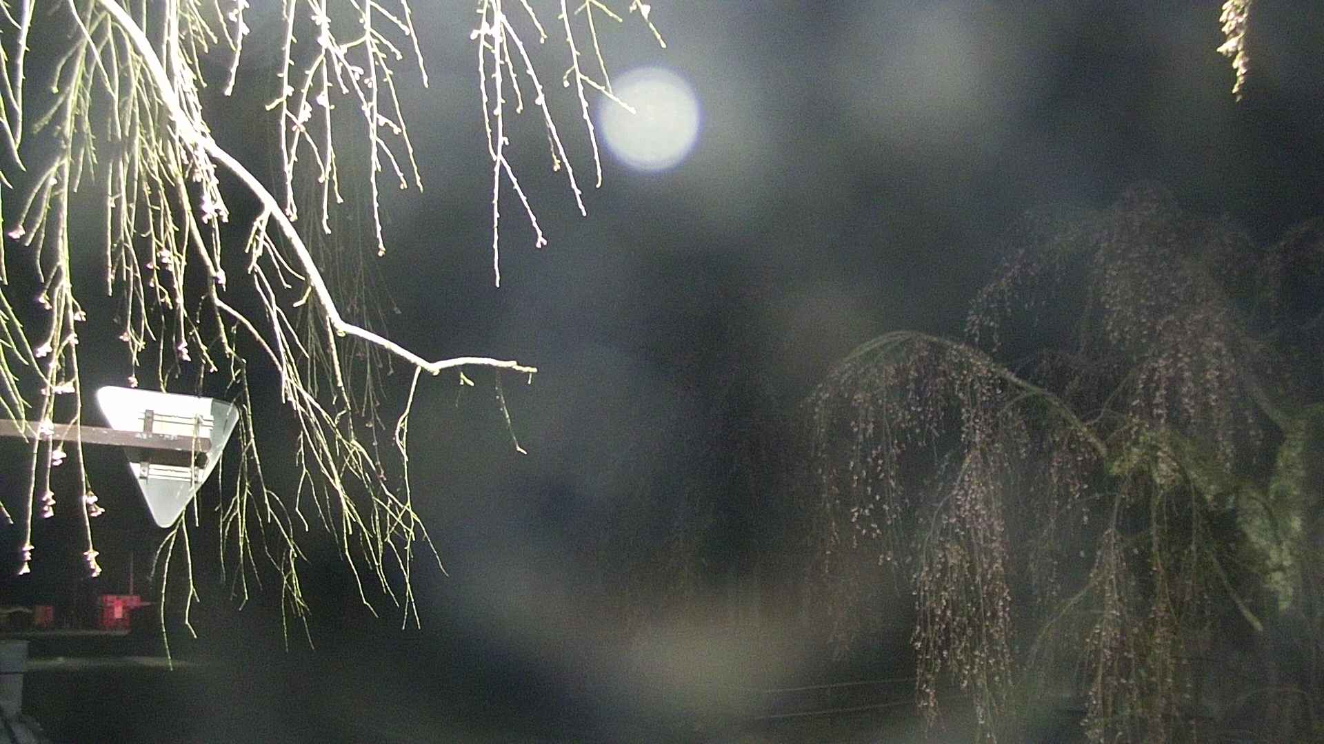 area1-20250421014016.jpg
