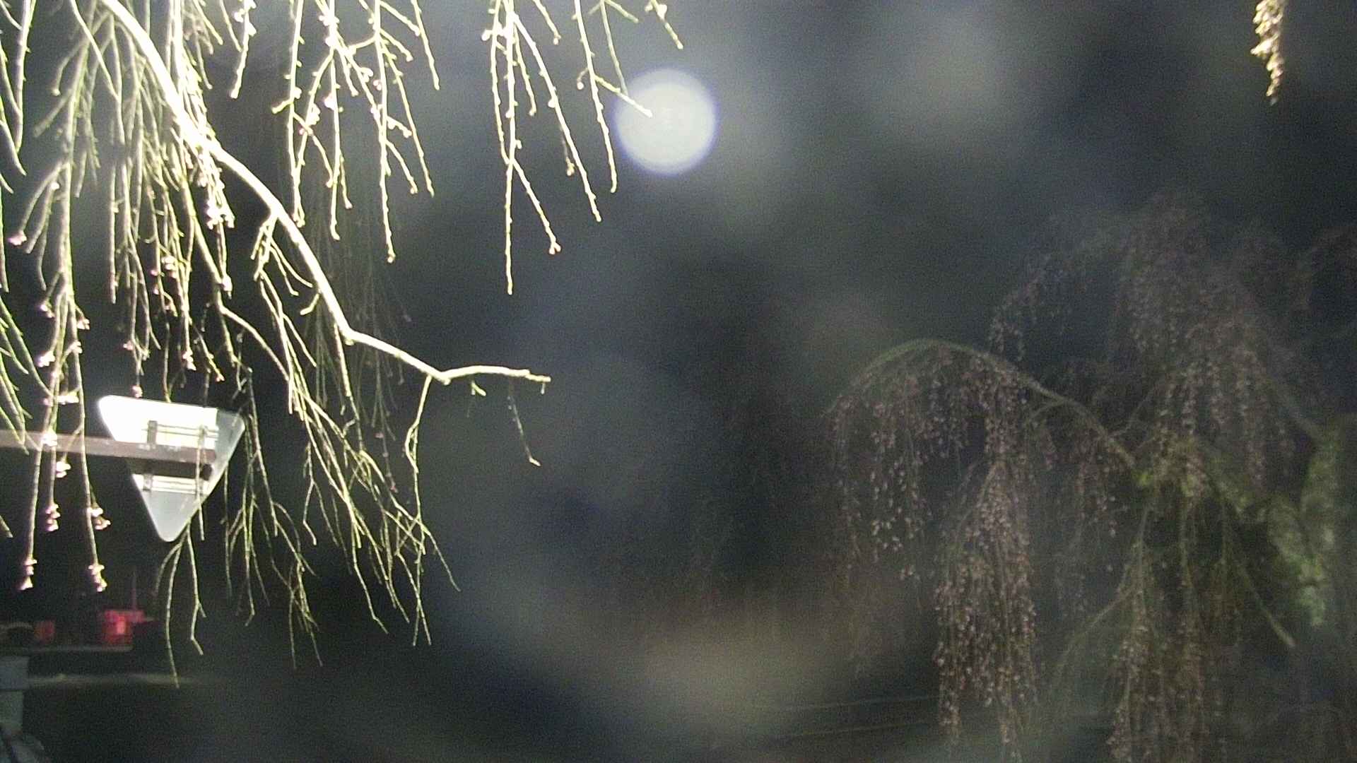 area1-20250421015016.jpg