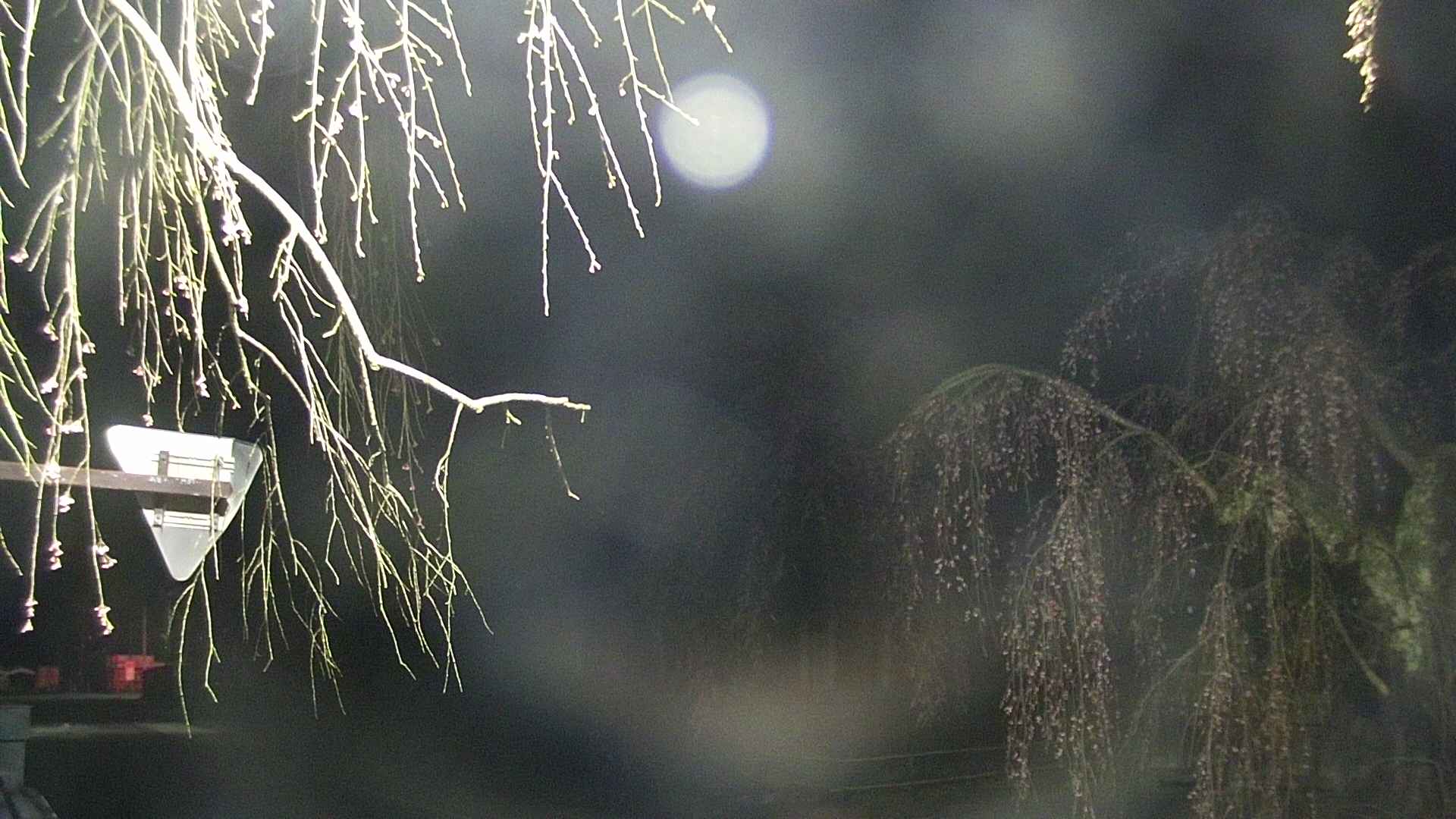 area1-20250421022016.jpg