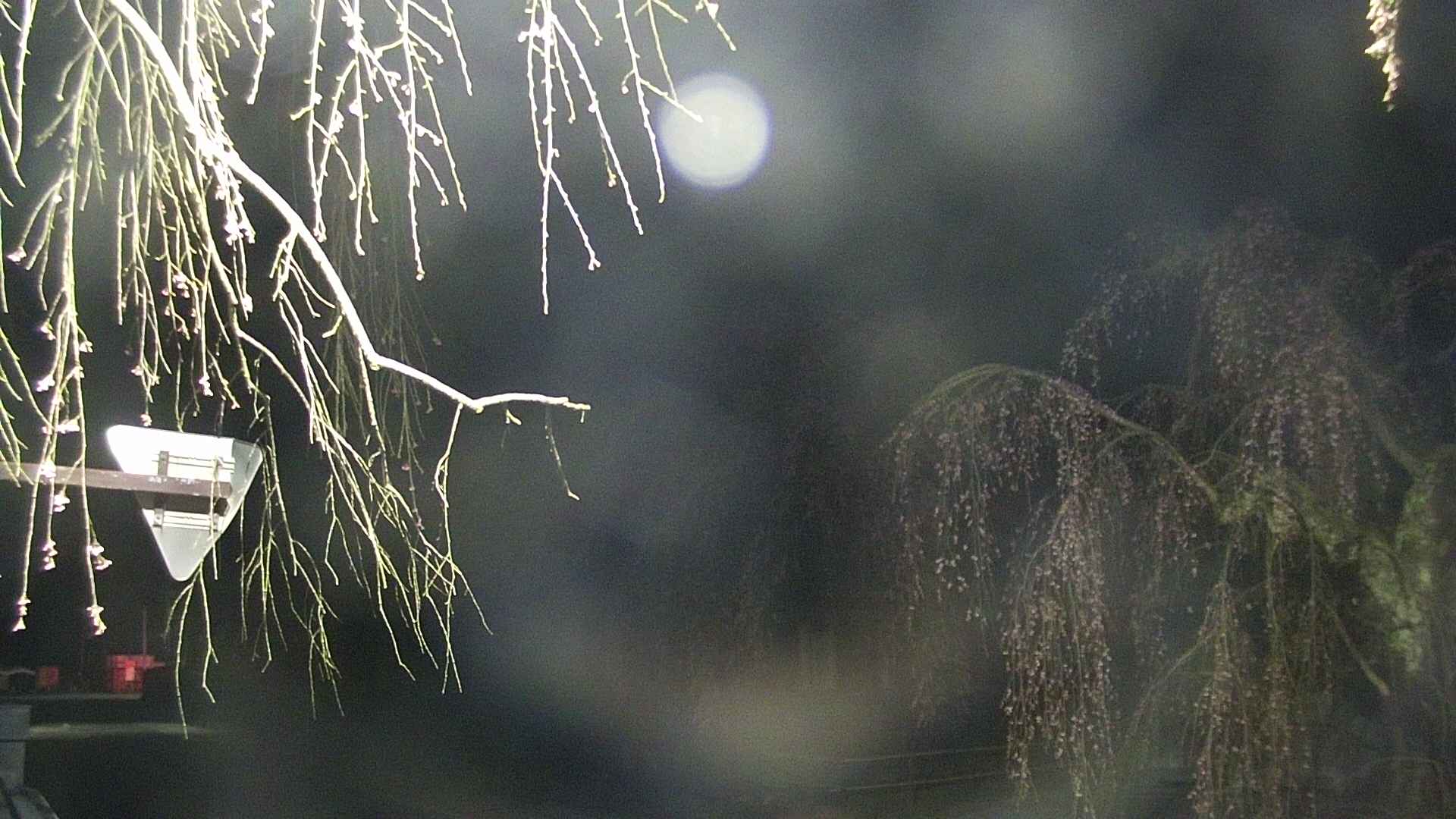 area1-20250421031015.jpg