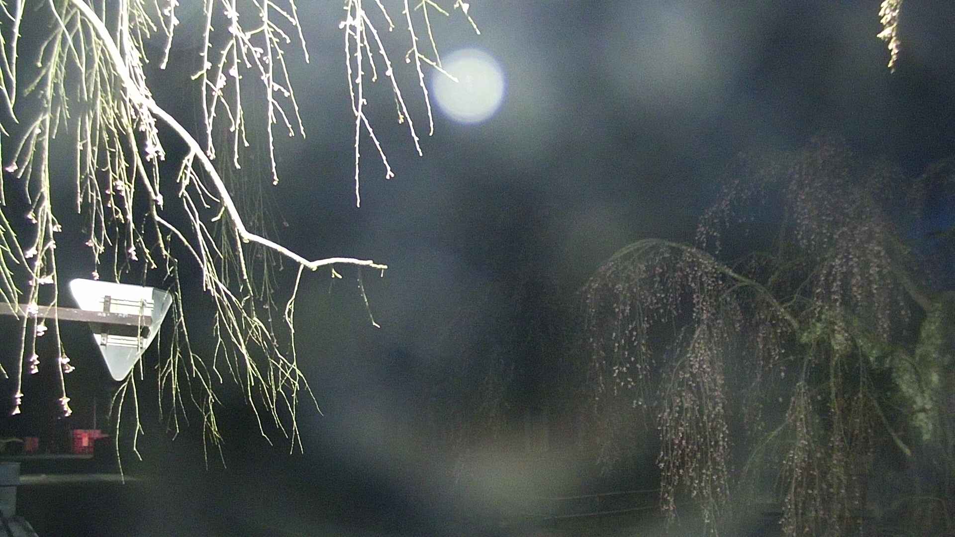 area1-20250421041015.jpg