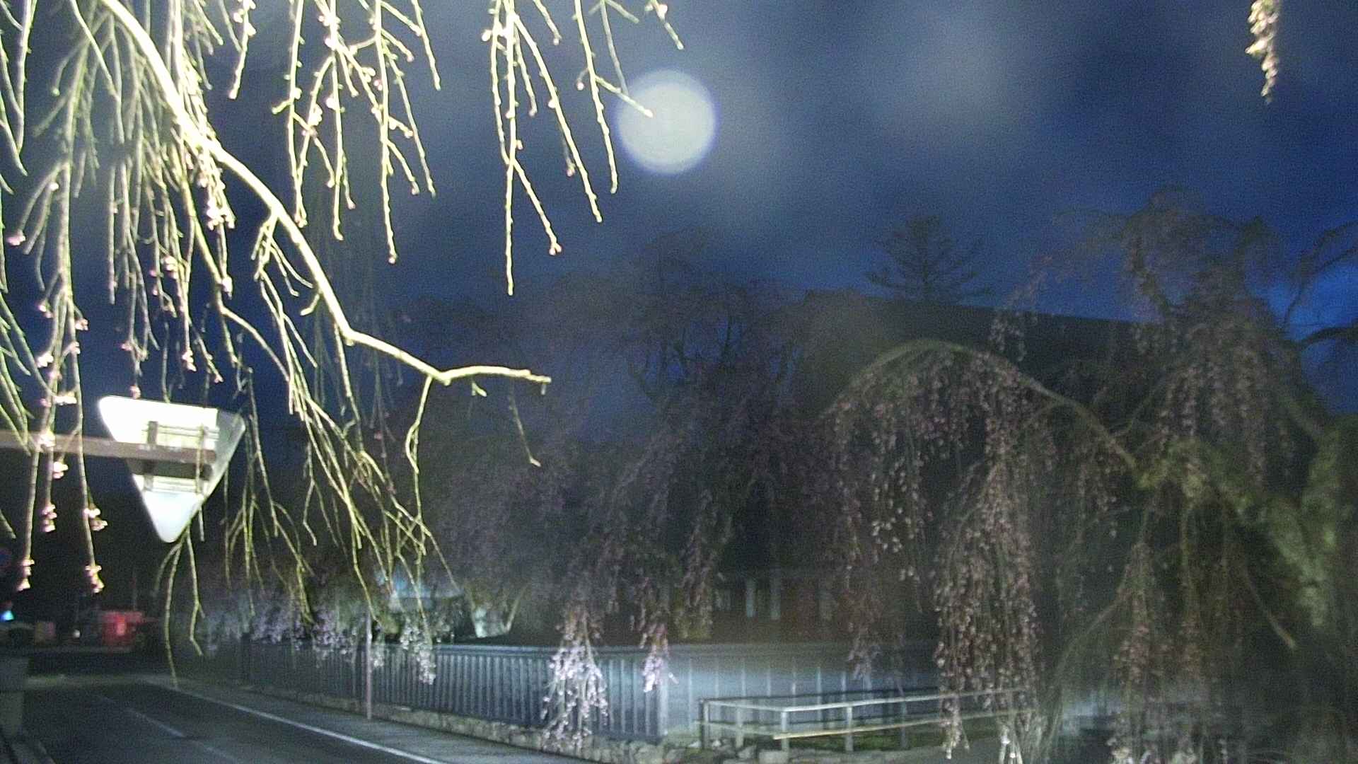 area1-20250421042016.jpg