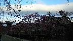 area1-20250421062016.jpg