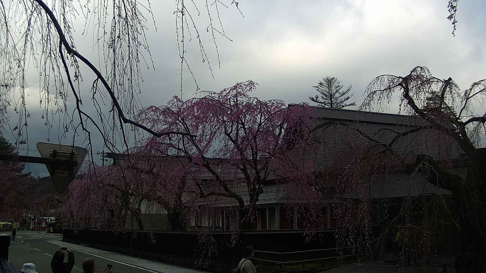 area1-20250421071016.jpg