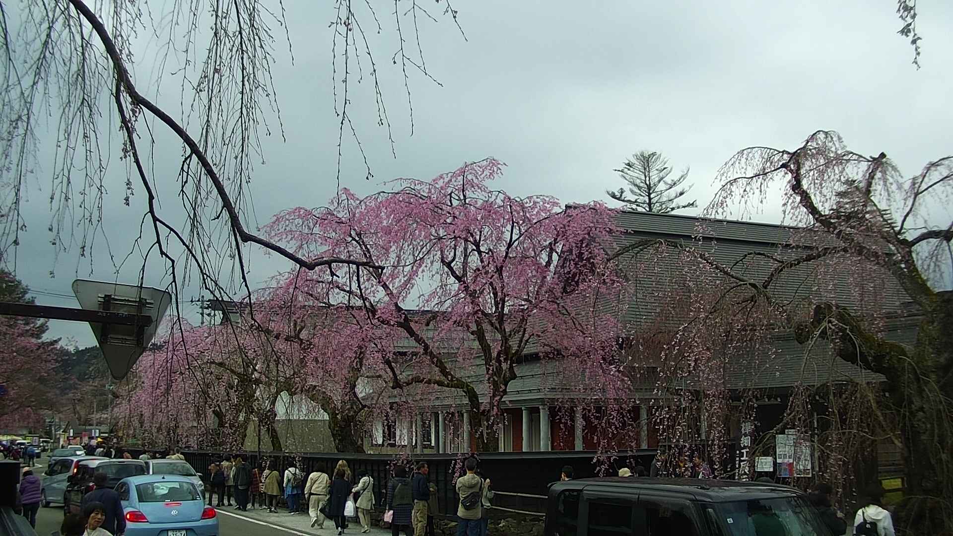 area1-20250421112016.jpg