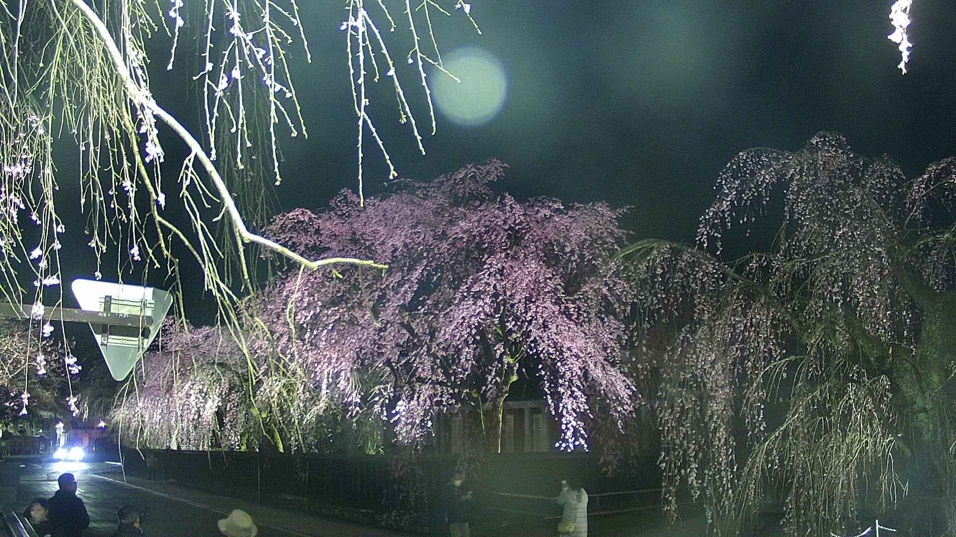 area1-20250421190017.jpg