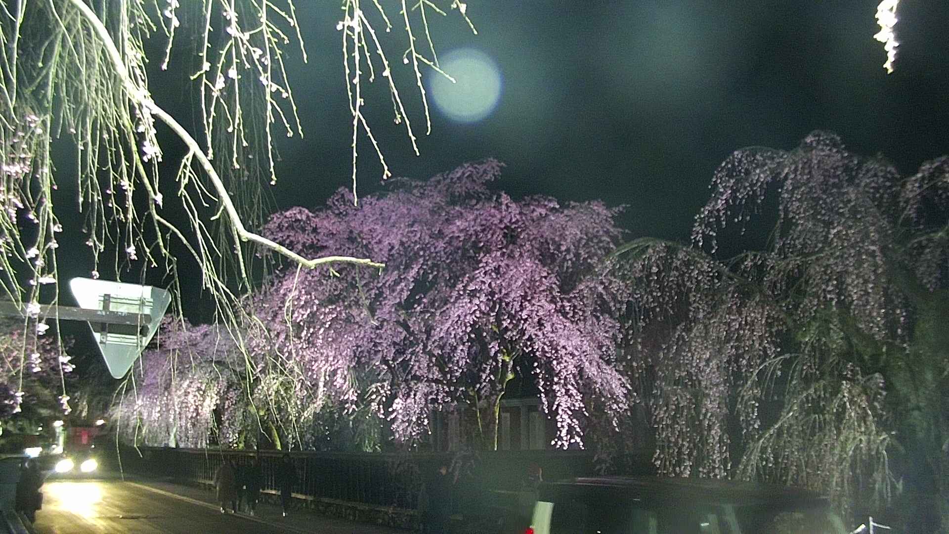 area1-20250421193018.jpg