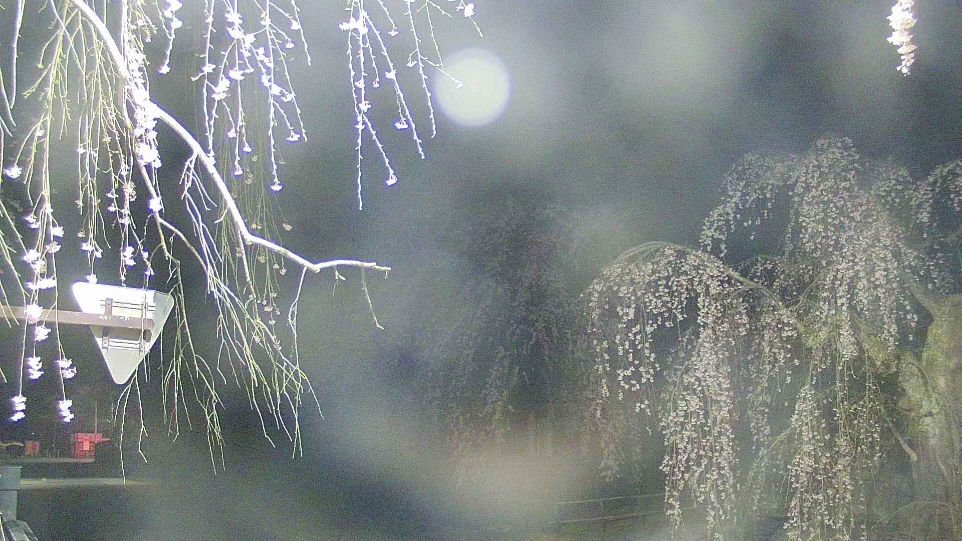 area1-20250423014016.jpg
