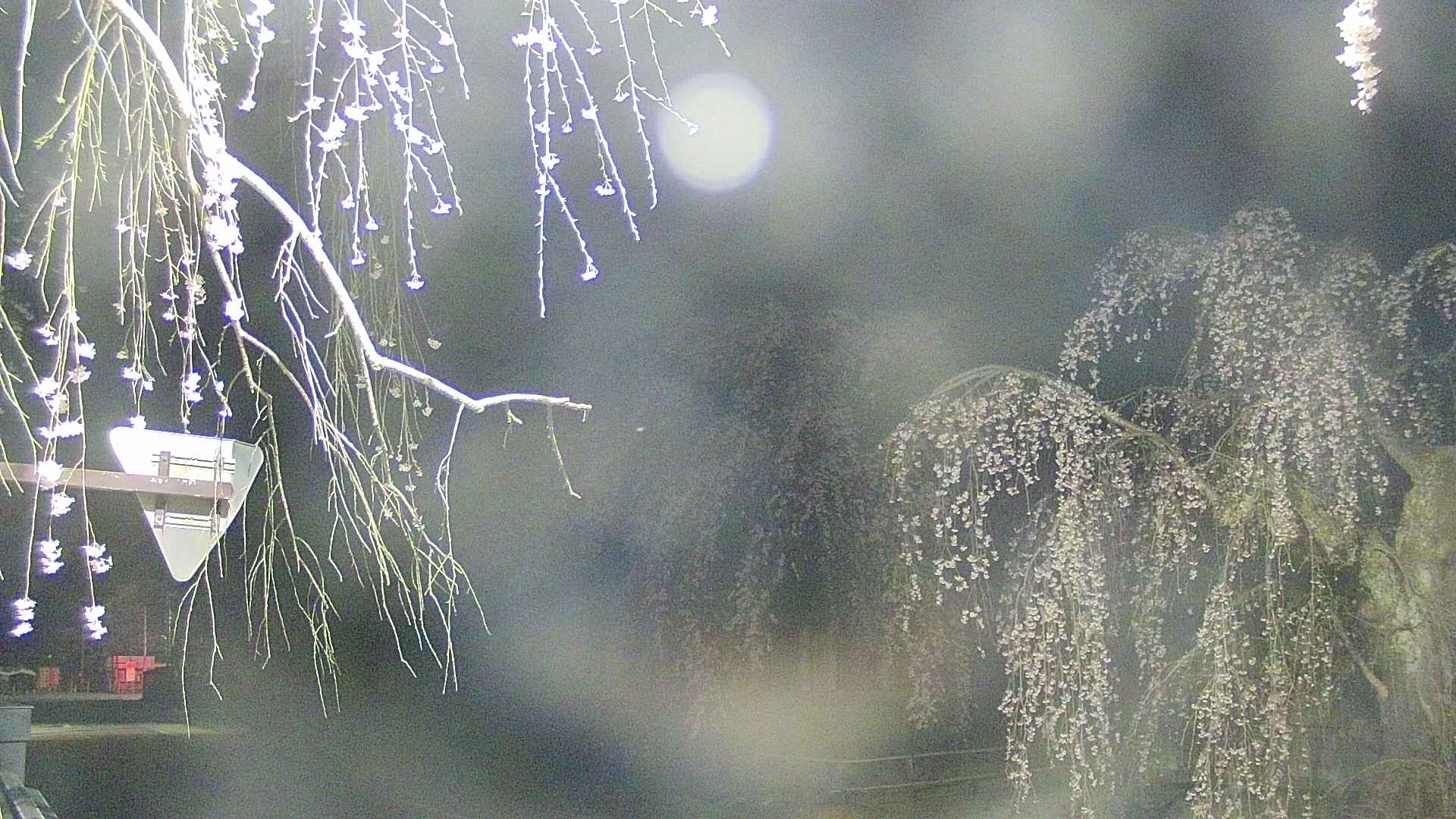 area1-20250423022015.jpg