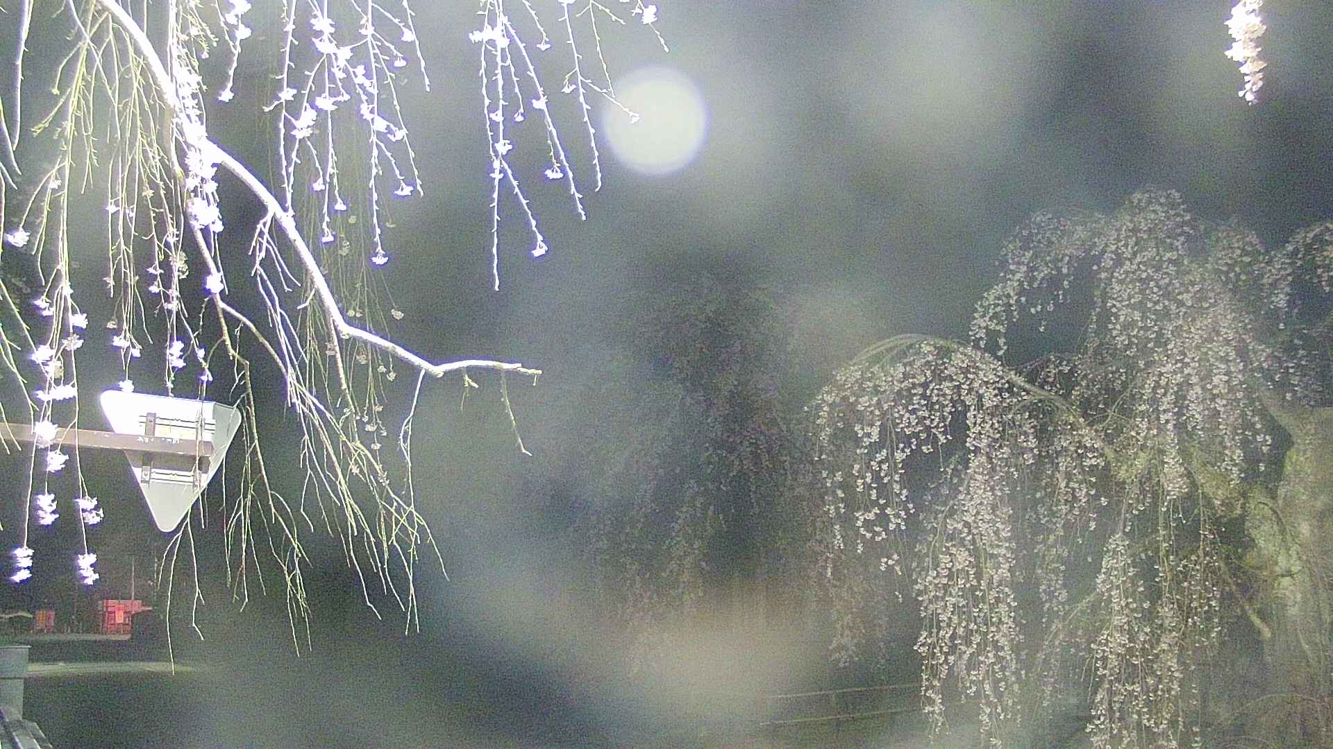 area1-20250423030016.jpg