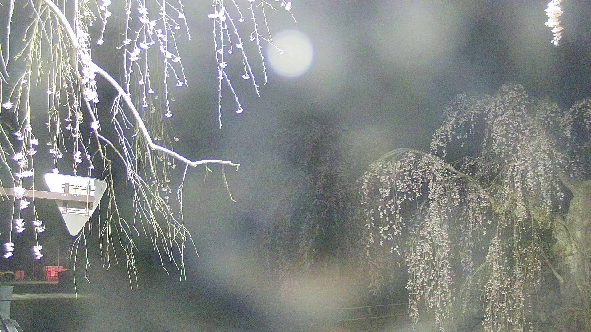 area1-20250423033015.jpg