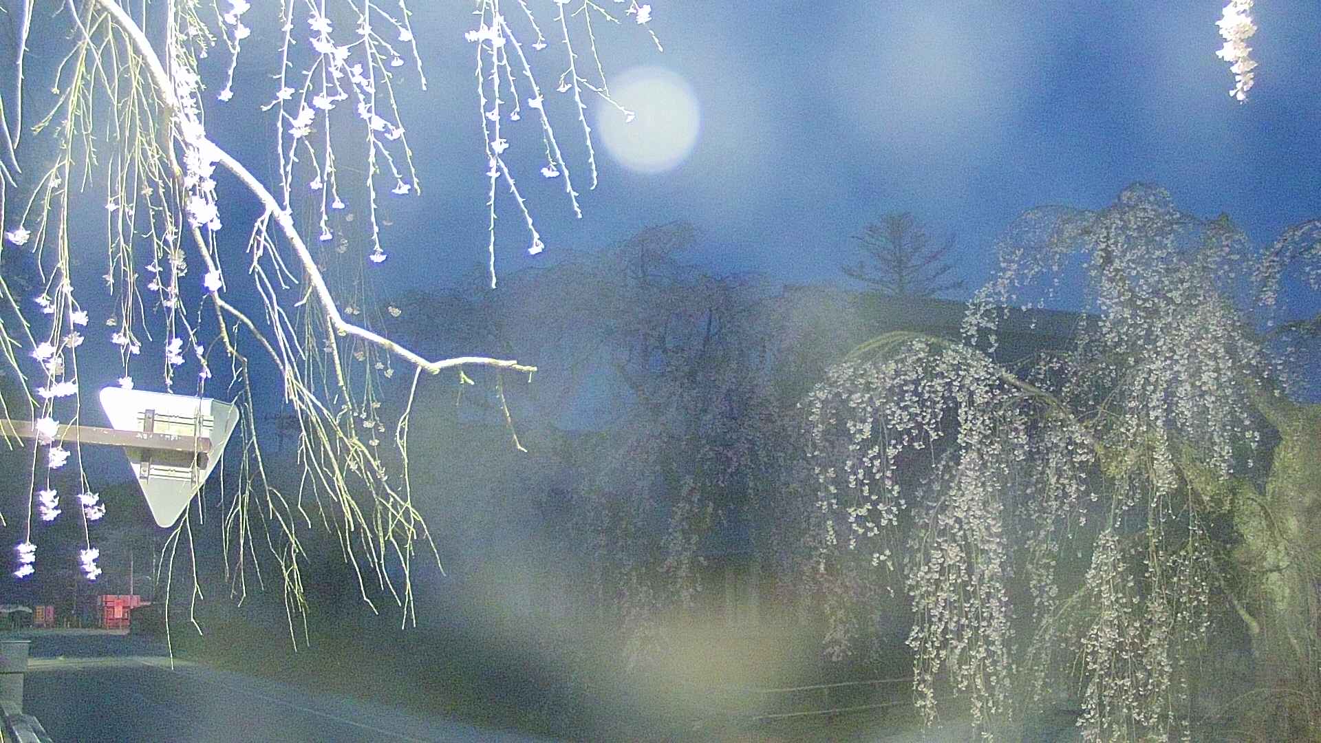 area1-20250423042016.jpg