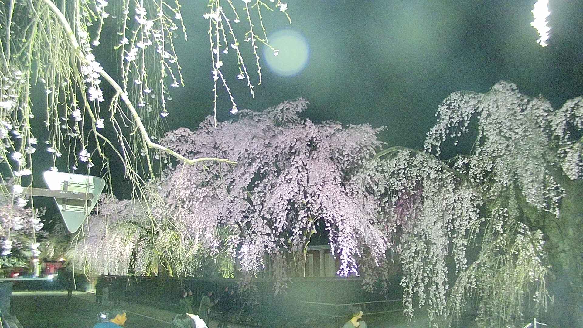 area1-20250423193016.jpg