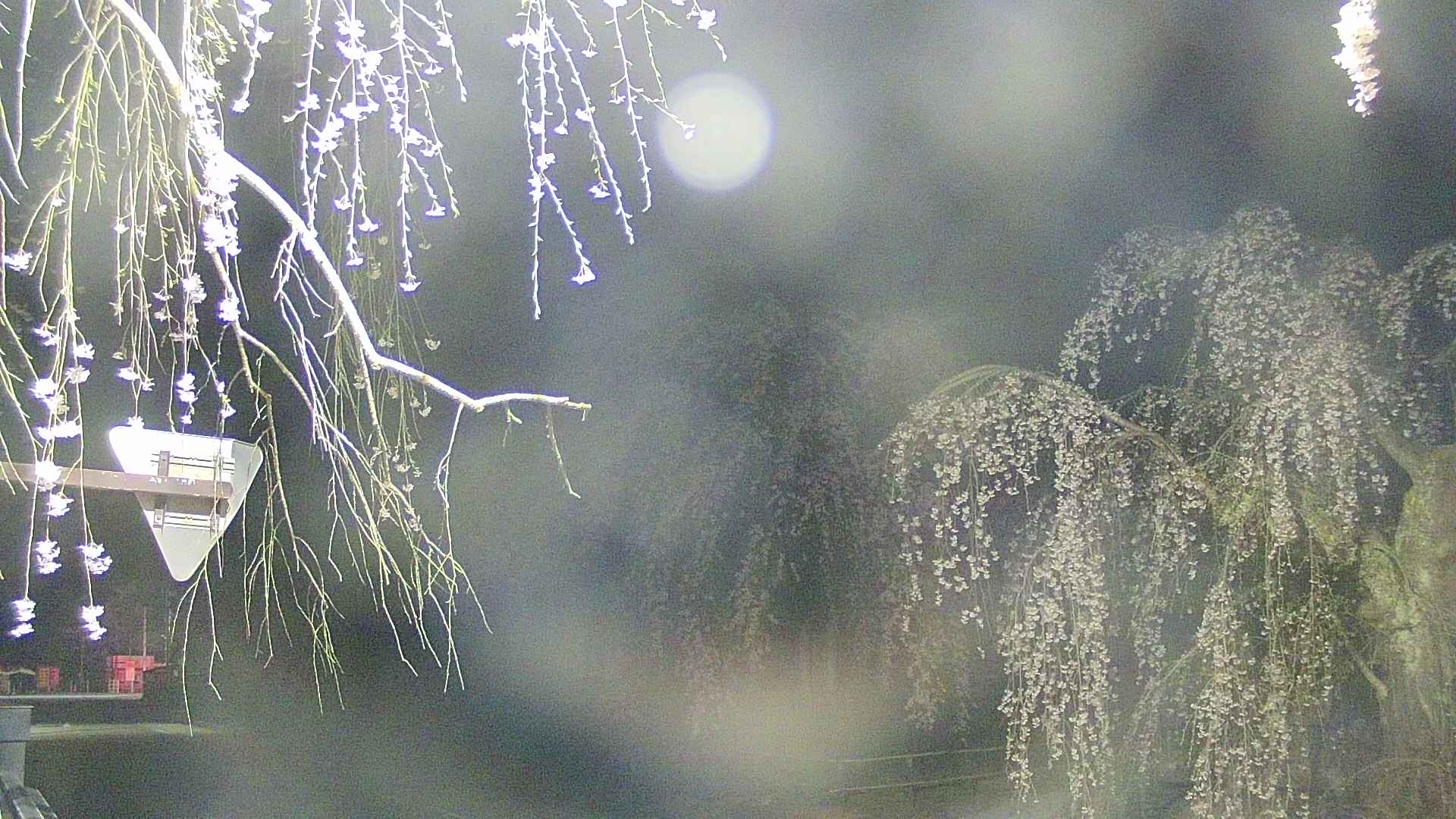 area1-20250424025016.jpg