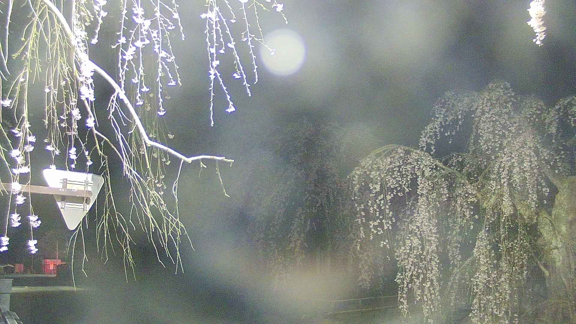area1-20250424030017.jpg