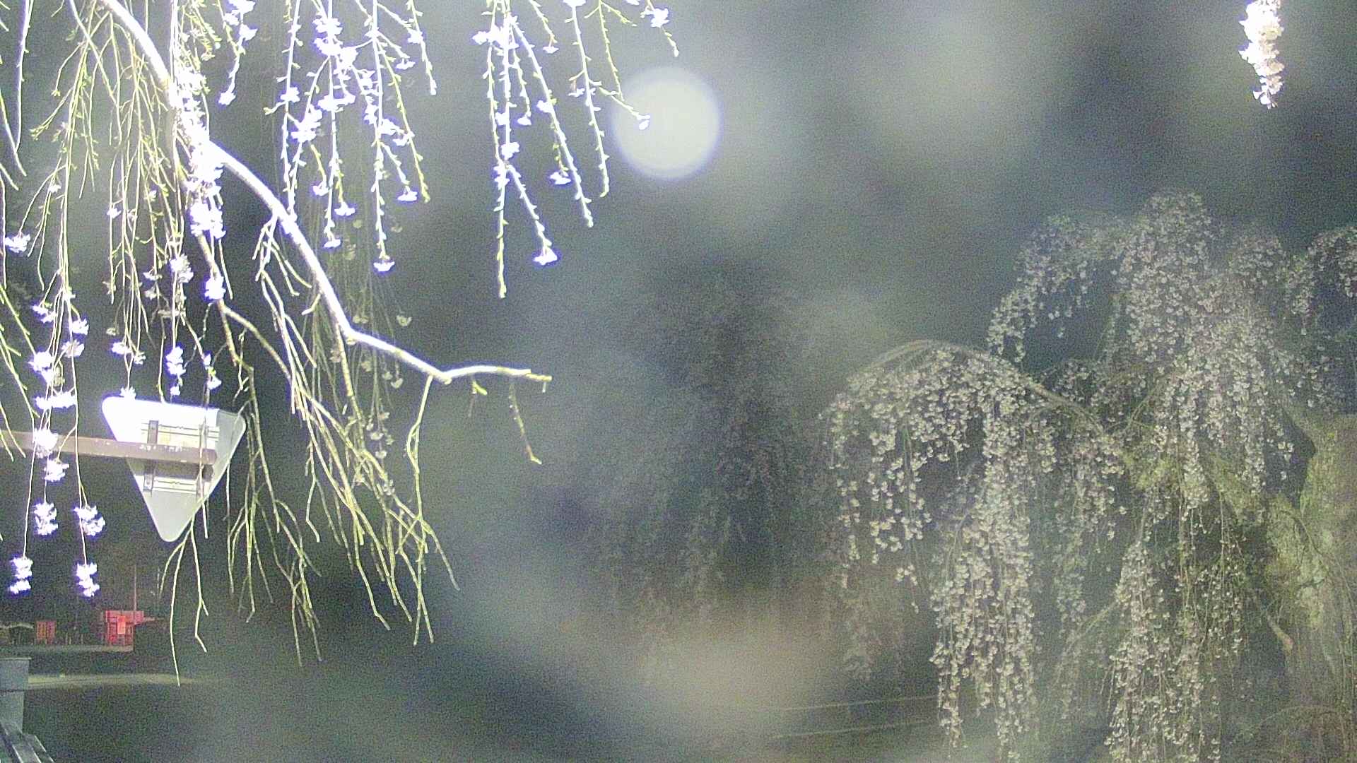 area1-20250424033015.jpg