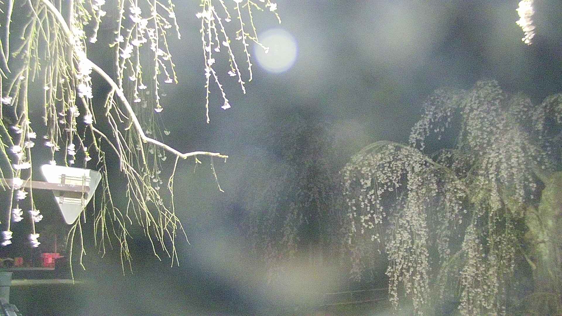 area1-20250424034016.jpg