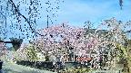 area1-20250424072017.jpg
