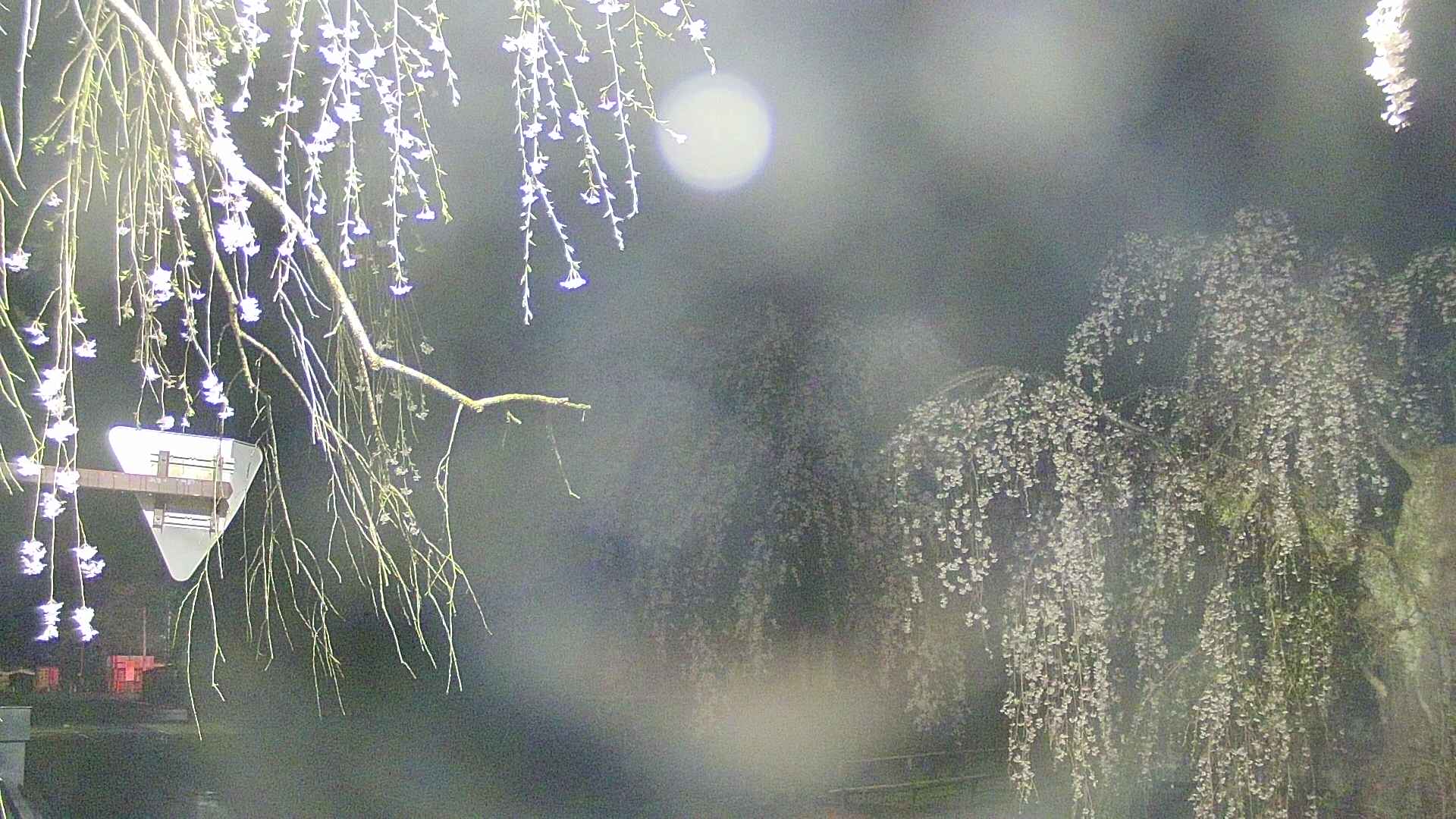 area1-20250425015015.jpg