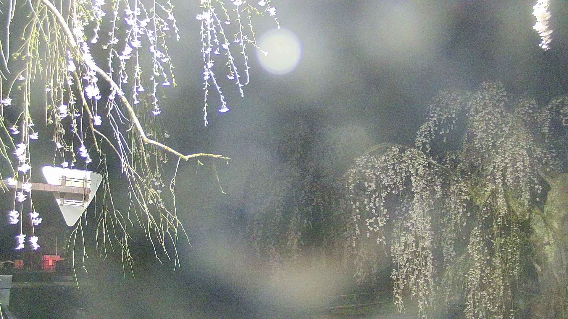 area1-20250425021016.jpg