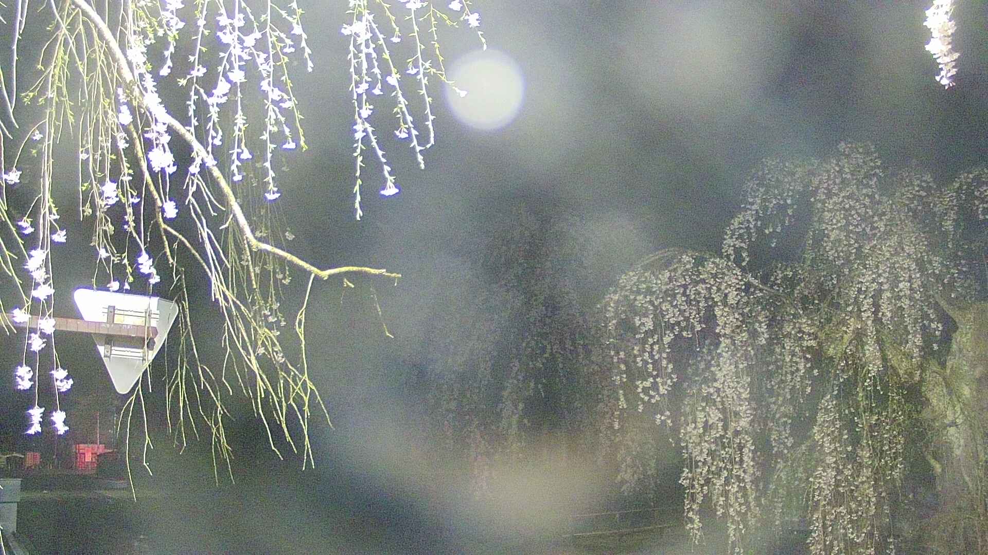 area1-20250425025015.jpg