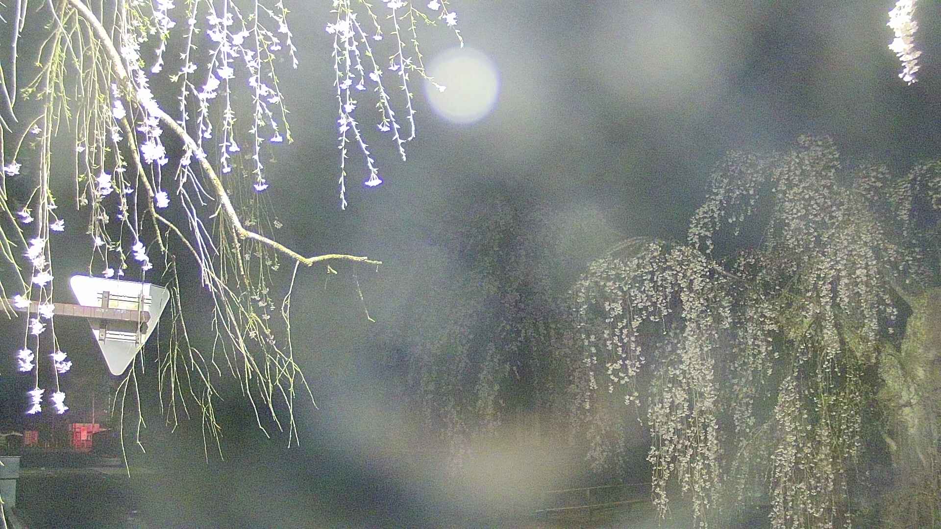 area1-20250425030015.jpg