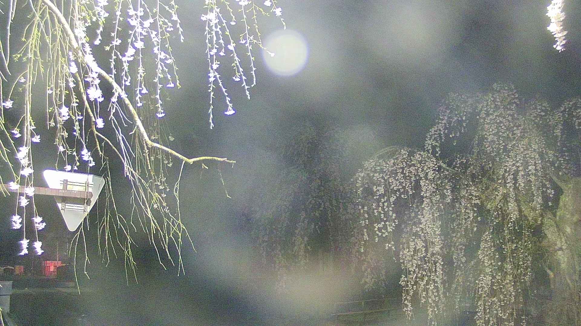 area1-20250425031015.jpg