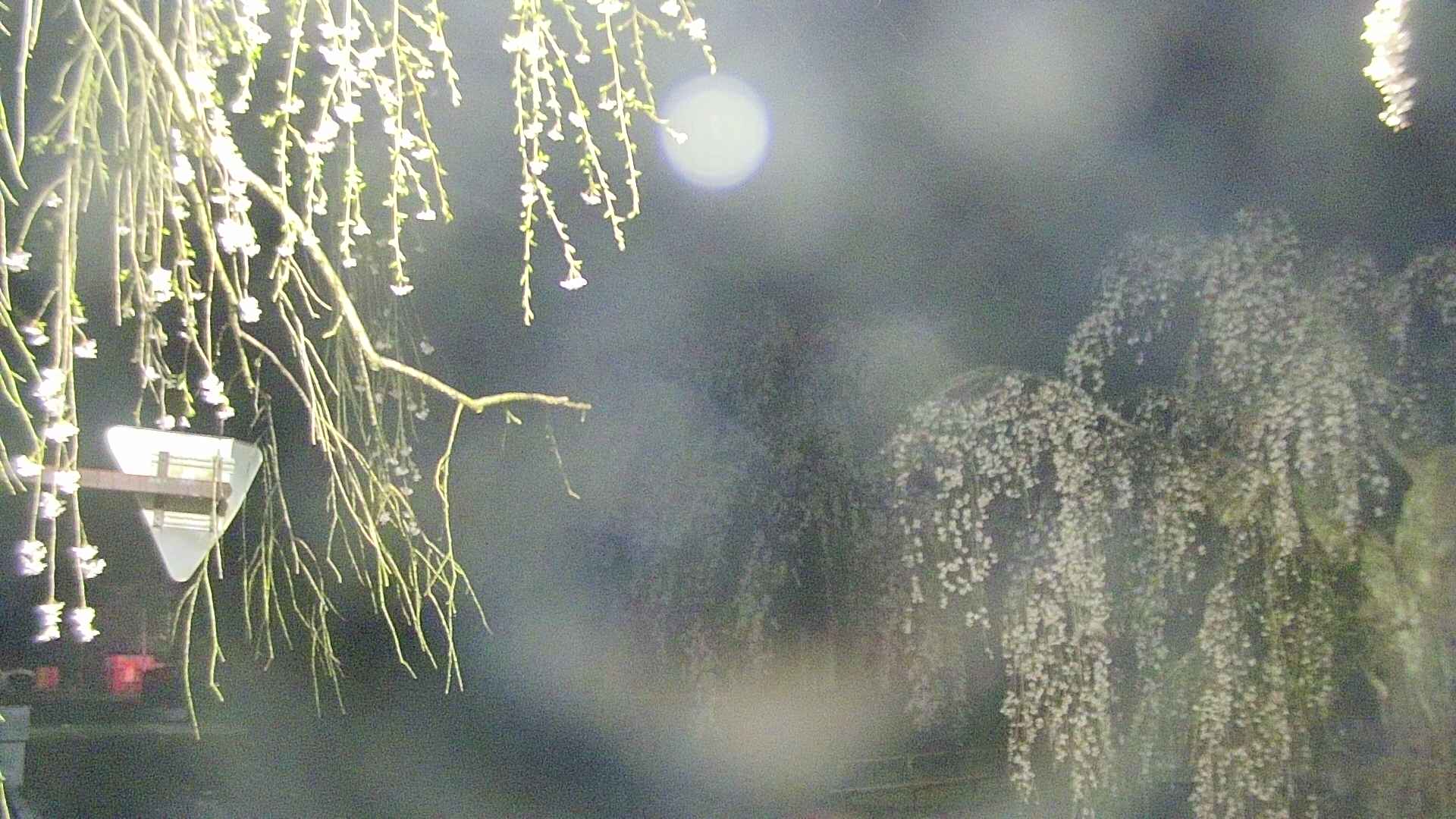 area1-20250425032015.jpg