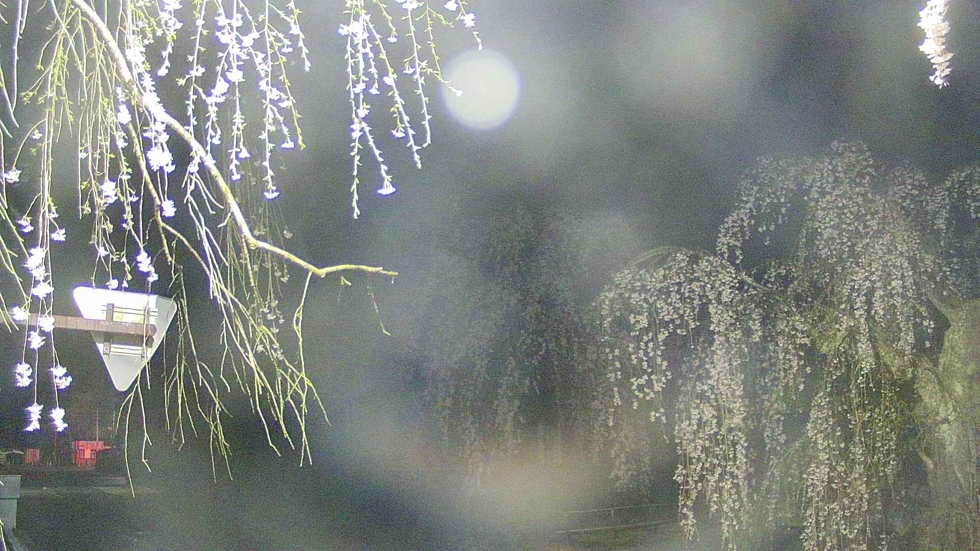 area1-20250425033016.jpg