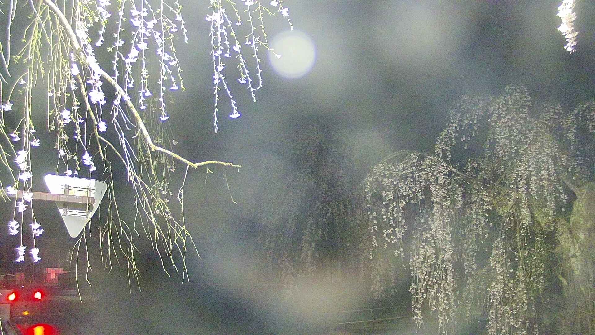 area1-20250425034015.jpg