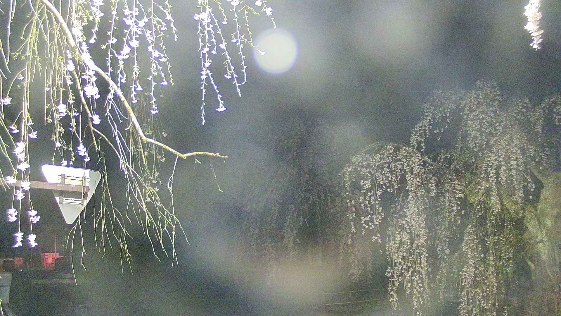 area1-20250425035015.jpg