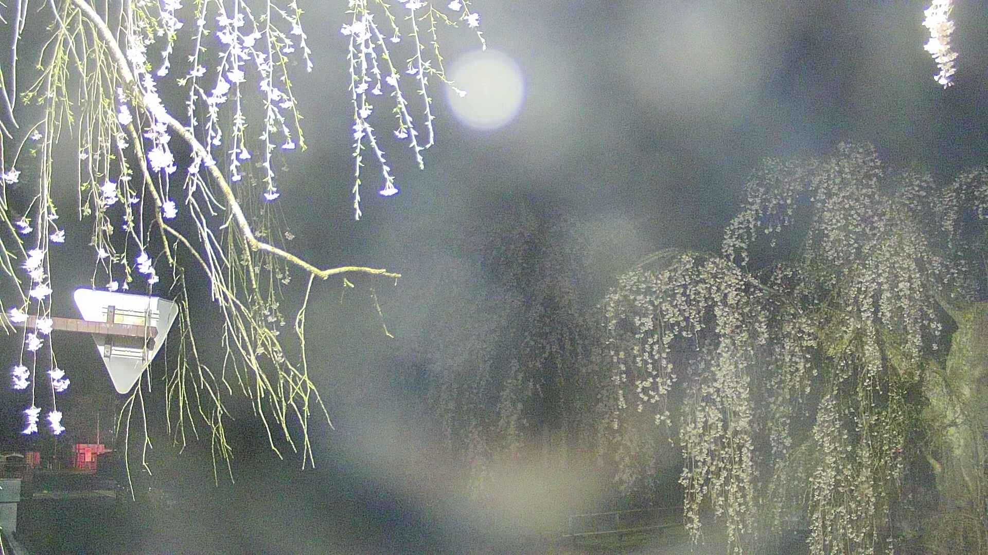 area1-20250425040016.jpg
