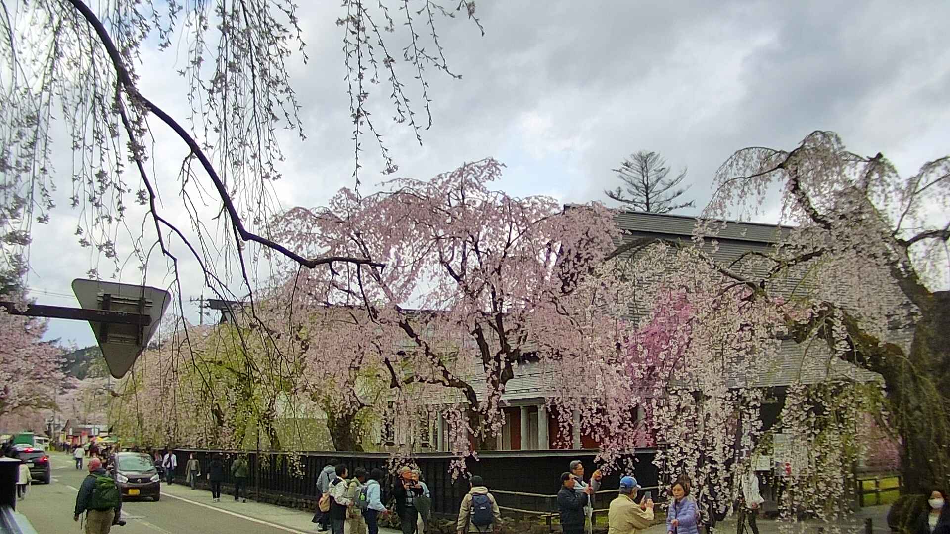 area1-20250425124015.jpg