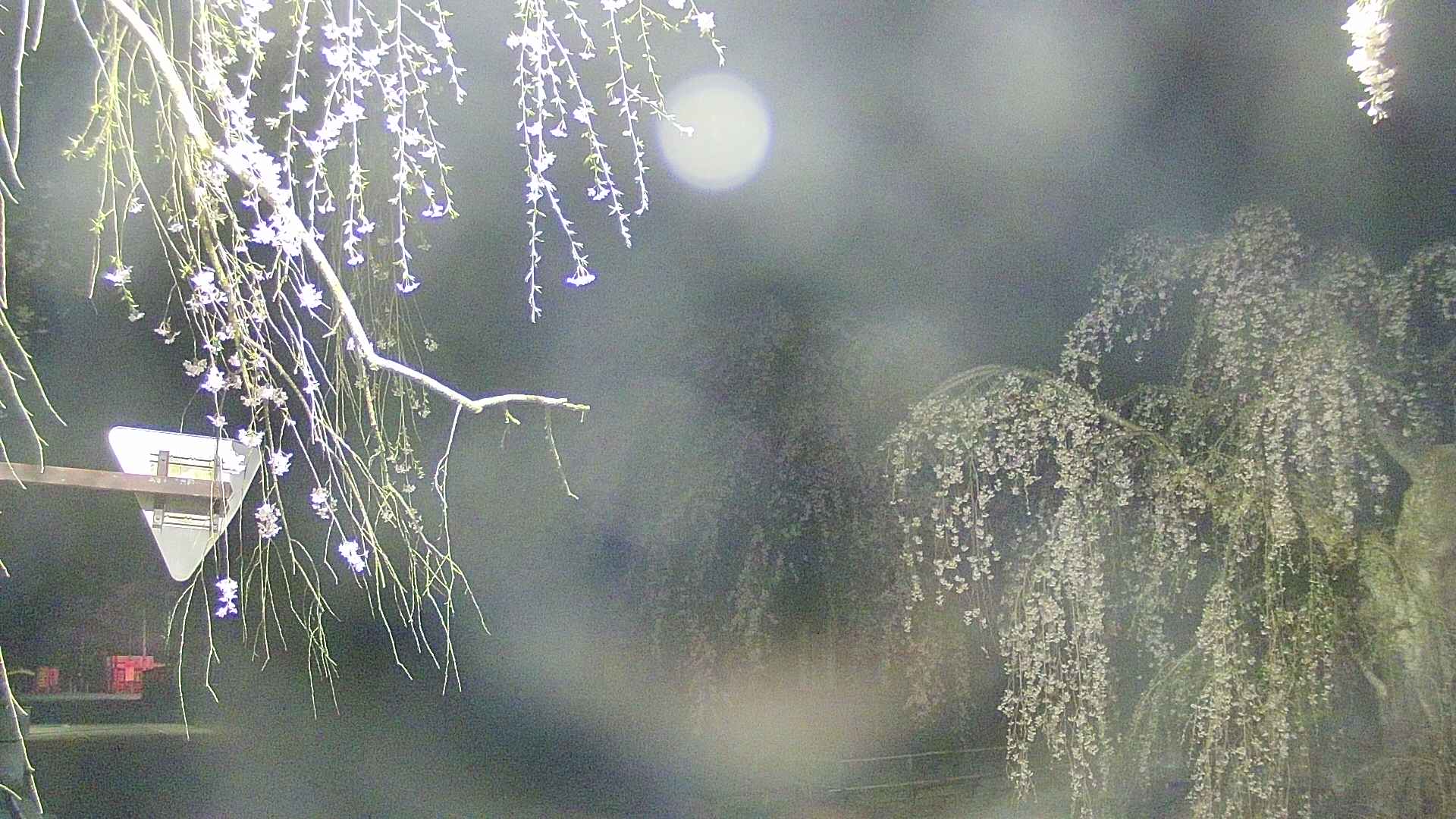 area1-20250426015015.jpg